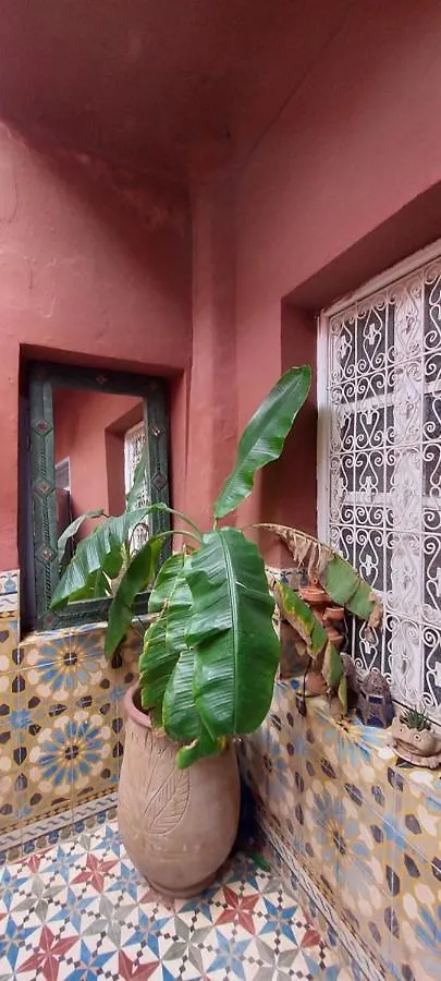 Riad Kainos Marrakesh